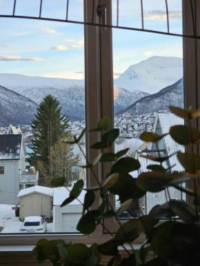 Amazing Tromsø city apartment with free parking and lovely city views!